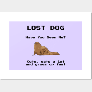 Have you seen my dog? Posters and Art